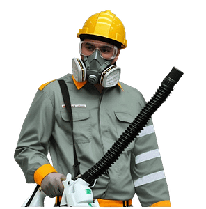 Jasa Fumigasi Mobil