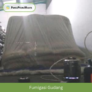 Fumigasi Gudang Fumigasi Gudang