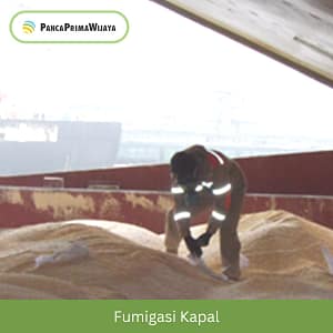 Fumigasi Kapal Fumigasi Kapal
