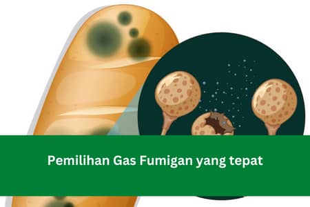 Pemilihan Gas Fumigan yang tepat