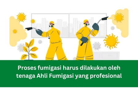 Proses Fumigasi harus dilakukan oleh Tenaga Ahli Fumigasi yang profesional