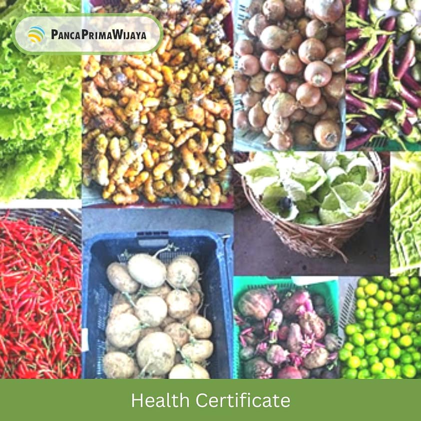 Health Certificate Health Certificate