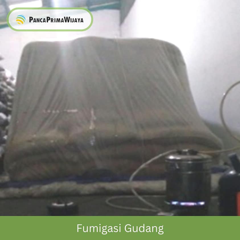 Fumigasi Gudang