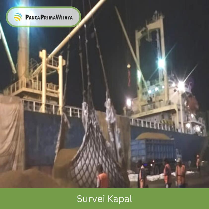 Survei Kapal