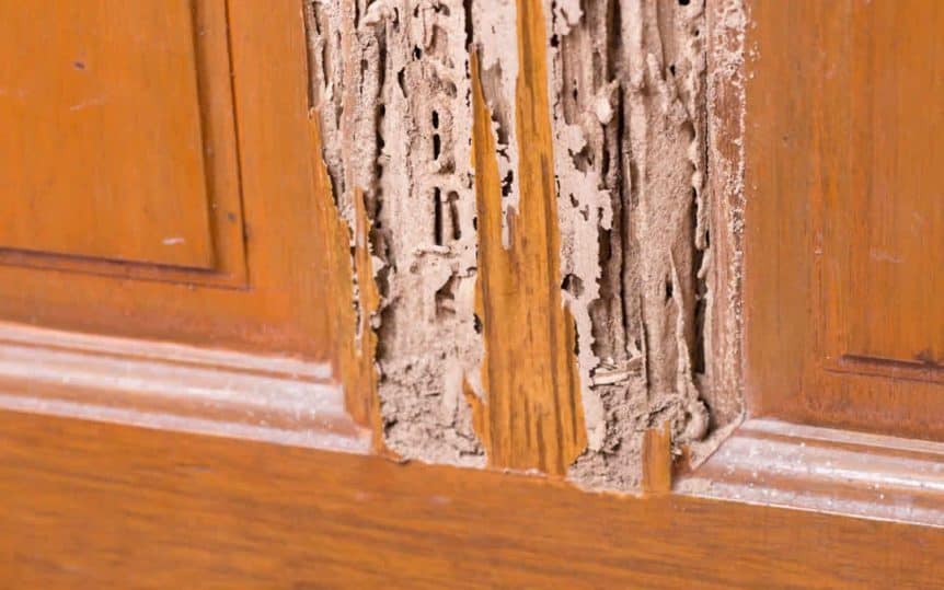 Jasa Marking Sertifikat ISPM